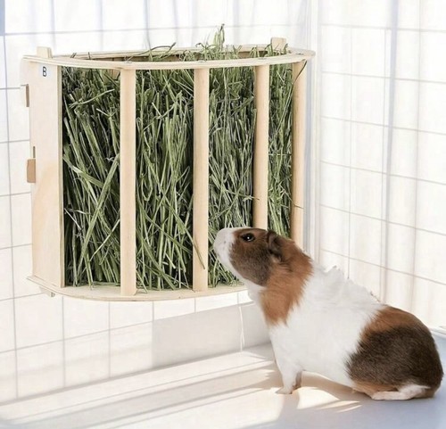 Wooden guinea pig - guinea,
