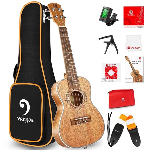 Electric acoustic tenor - electric,