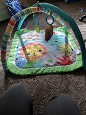 Bright Starts Safari Blast