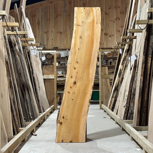 Cedar wood slab plank board - plank,