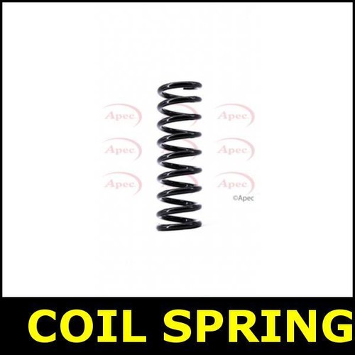 Coil spring rear for - coil,
