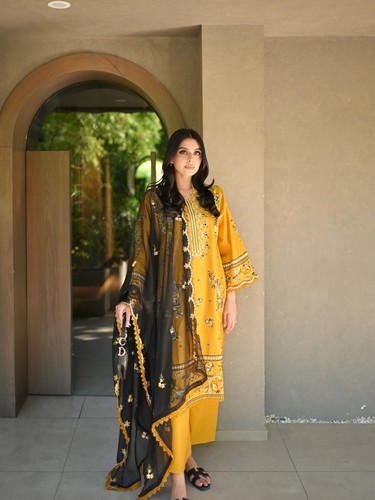 Designer pakistani salwar - pakistani,
