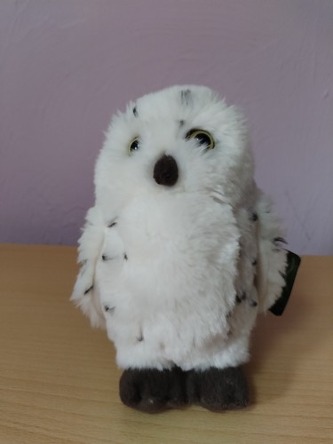 Living nature snowy - snowy, owl