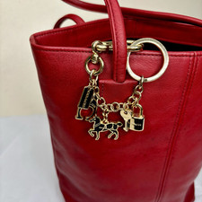COACH Loop Key Ring Keychain