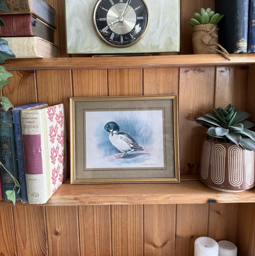Vintage framed wall art - framed,