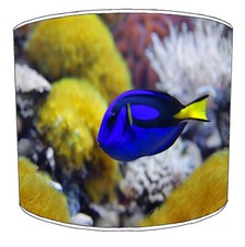 Marine Fish Coral Reef Ceiling