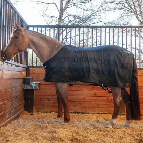 Classic equine magntx magnetic - magntx,