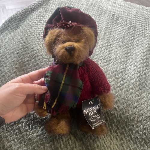 Scottish parliament 1995 bear - parliament,