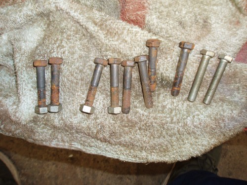 Ten 40mm long - x,