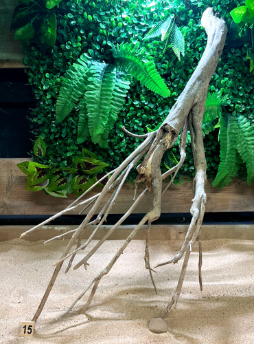 Talawa wood aquascaping - talawa,