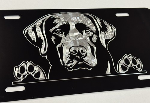 Peeking lab labrador dog - peeking,