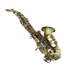 Eastern music pro use Yani
