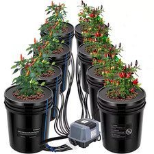 Gal black dwc hydroponics - 5,