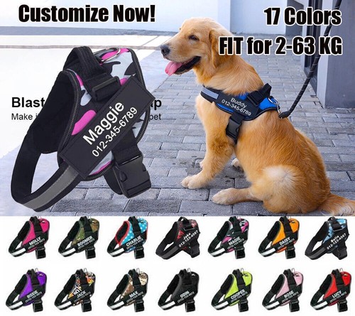 Personalized dog harness - dog,
