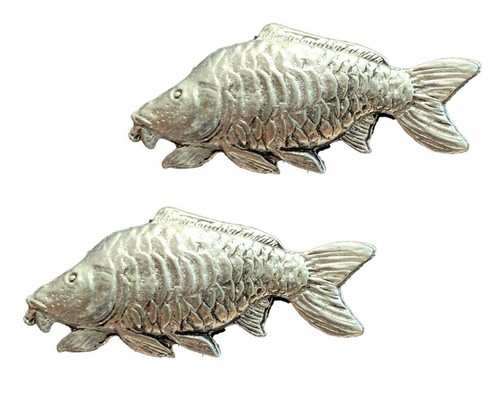 Mirror carp fishing - x,