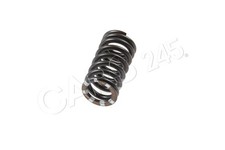 Valve spring inlet AUDI VW