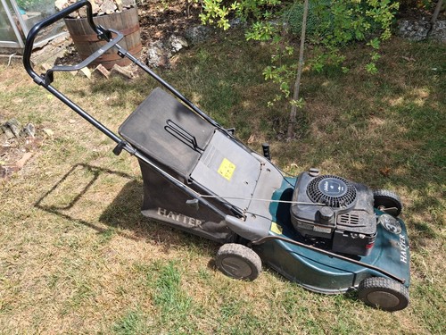Hayter jubilee lawn push - 48,