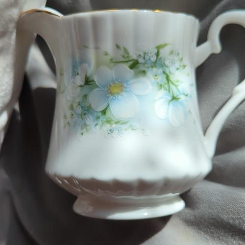 Royal stafford bone - royal,
