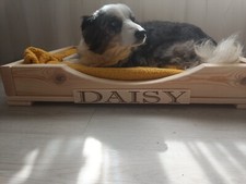 Luxury CURVED Wooden Dog Bed