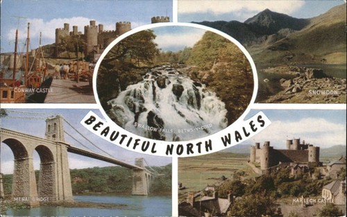 Vintage salmon postcard - j,
