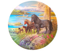 Davenport pottery plate - pottery,