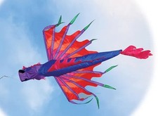 Chinese Dragon Windsock for