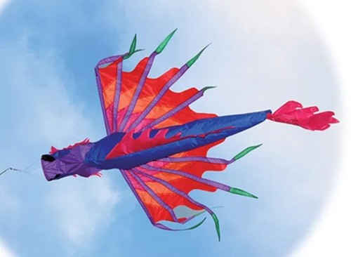 Chinese dragon windsock for - chinese,