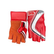 2025 SS Cricket Wicket Keeping