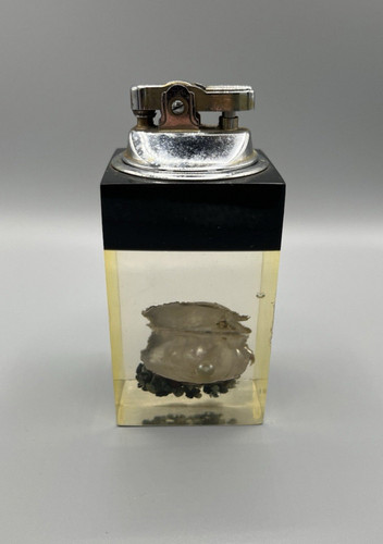 Vintage japanese lucite oyster - lucite,