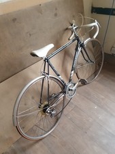 Raleigh Pursuit Vintage Little