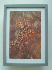 Gordon Beningfield Butterfly print 'Comma'  FRAMED