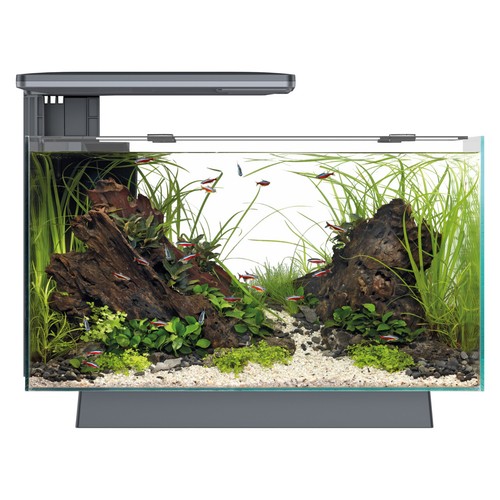 Superfish quadro aquarium - quadro,