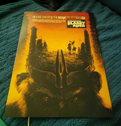 Exclusive kingdom the - exclusive, of