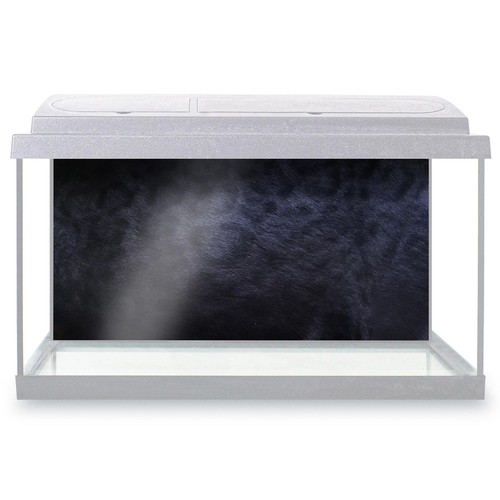 Fish tank background black - fish,