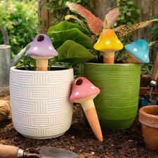 Pack mushroom watering - 4-pack,