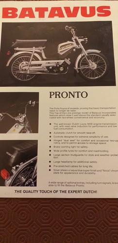 Rare batavus sales - rare,