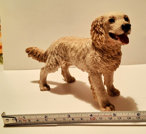 Golden retriever standing - retriever,