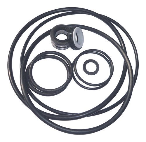 Mechanical seal ring kit - o-ring,
