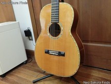 Classical Acoustic Guitar