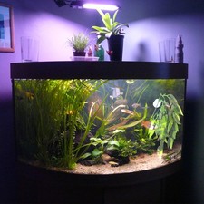  Simulated Aquatic Plants Water Grass Tank Fish Decorative Turtle