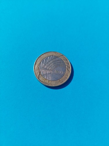 Rare coin pound - coin, 2