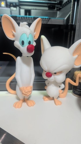 Pinky and the brain printed - pinky,