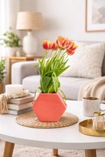 Coral vase pot ceramic - -, can