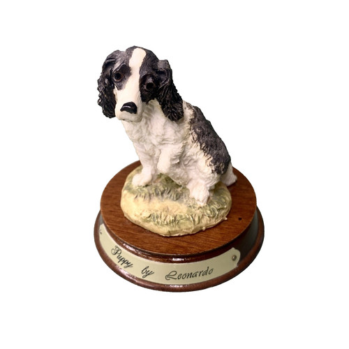 Springer spaniel dog puppy - dog, by