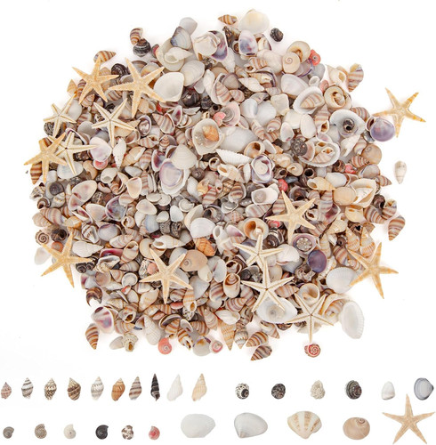 1000 pcs mini sea - mini, small