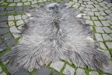 Angora Goat Leather Goatskin