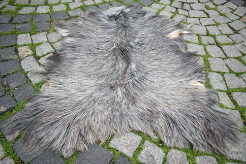 Angora goat leather goatskin - angora,