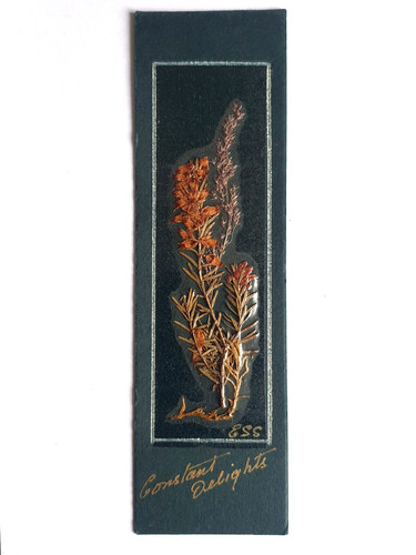 Dried pressed flowers bookmark - pressed,