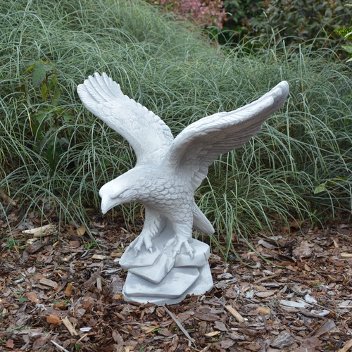 Eagle golden - , bird