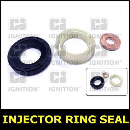 Injector ring seal for citroen - injector,